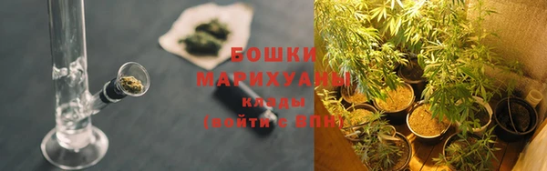 ПСИЛОЦИБИНОВЫЕ ГРИБЫ Балахна